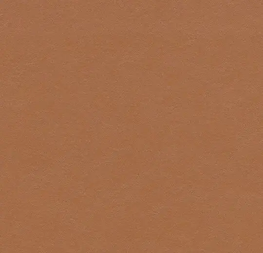 Forbo Marmoleum Roll Decibel On Order Terracota 74-13/16" - 3.5 mm (Sold in Sqyd)