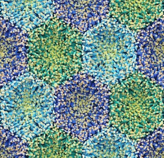 Forbo Flotex Roll Created by Mac Stopa Blue Anemone 79" - 4.3 mm (Sold in sqyd)