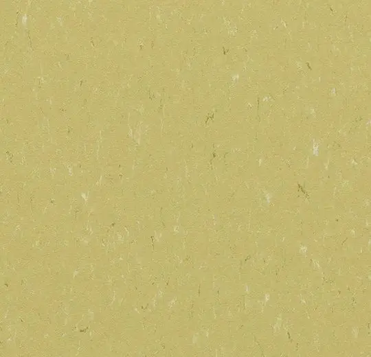 Forbo Marmoleum Roll Decibel On Order Meadow 74-13/16" - 3.5 mm (Sold in Sqyd)