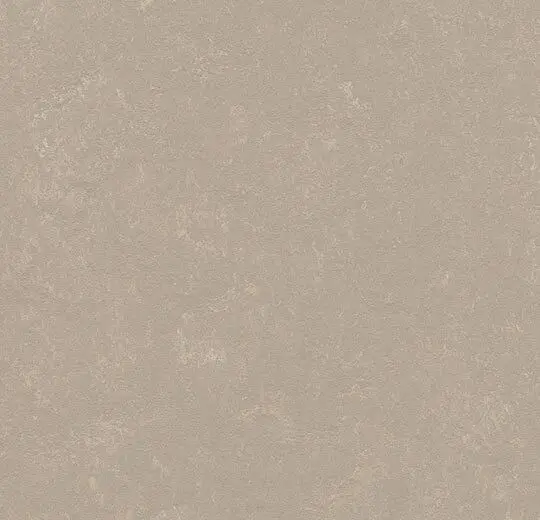 Forbo Marmoleum Roll Decibel On Order Fossil 74-13/16" - 3.5 mm (Sold in Sqyd)