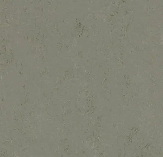 Forbo Marmoleum Roll Decibel On Order Glacier 74-13/16" - 3.5 mm (Sold in Sqyd)