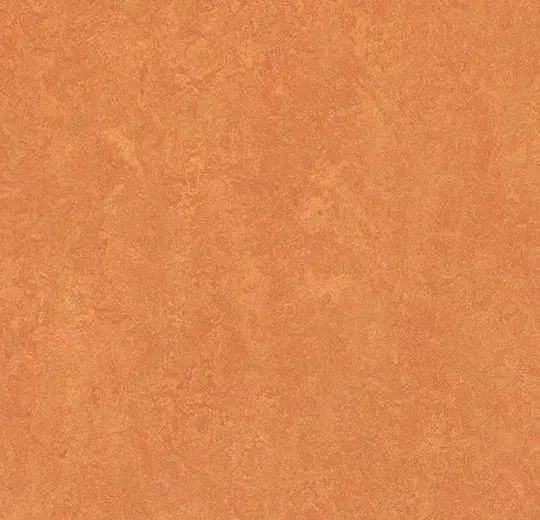 Forbo Marmoleum Roll Decibel On Order African Desert 74-13/16" - 3.5 mm (Sold in Sqyd)