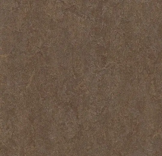 Forbo Marmoleum Roll Decibel On Order Walnut 74-13/16" - 3.5 mm (Sold in Sqyd)
