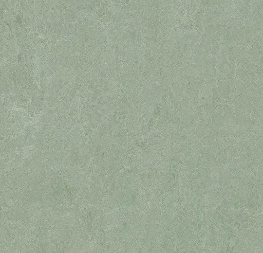 Forbo Marmoleum Roll Decibel On Order Sage 74-13/16" - 3.5 mm (Sold in Sqyd)