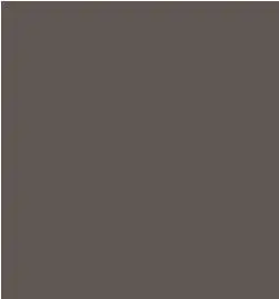 Tarkett - Slim Line Transitions - SLT TB1 A for 1/4" Material to 1/8" Material #TB1 Peppercorn 12'