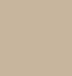 Tarkett - Vinyl Stair Treads - ST 09 RD Service Weight Round Nose #09 Clay with No Insert 42"