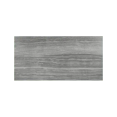 Anatolia - Floor Tiles Eramosa Carbon Polished 12" x 24"