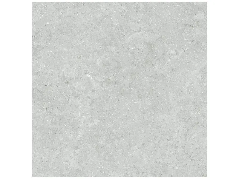Anatolia - Floor Tiles Coliseo Platinum Matte 20" x 20"