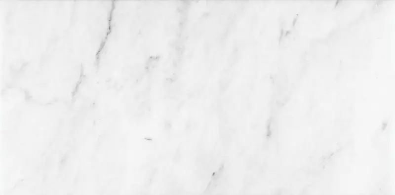 Anatolia - Marble Tiles Bianco Venatino Honed 12" x 24"