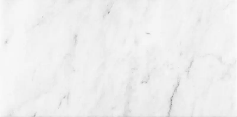 Anatolia - Marble Tiles Bianco Venatino Polished 12" x 24"