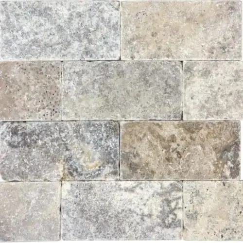 Anatolia - 3"x6" Silver Ash Travertine Tumbled