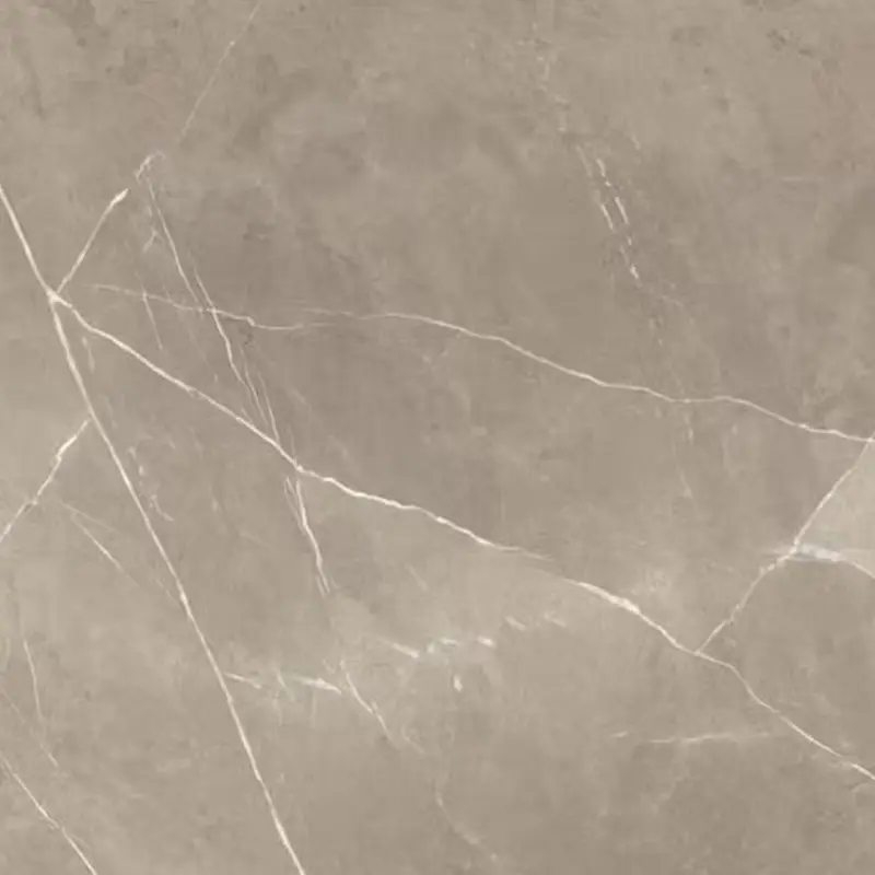 Planchers 1867 Floor Tiles Pietragrey Taupe Matte 12" x 24"