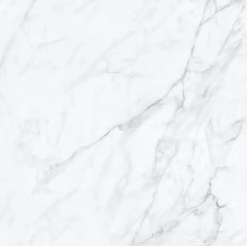 Planchers 1867 Mosaic Carrara White Matte 2" x 2"