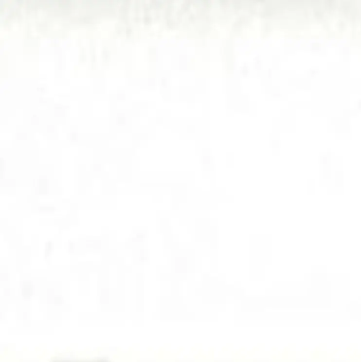Planchers 1867 Mosaic Type Matt White 1" x 3"