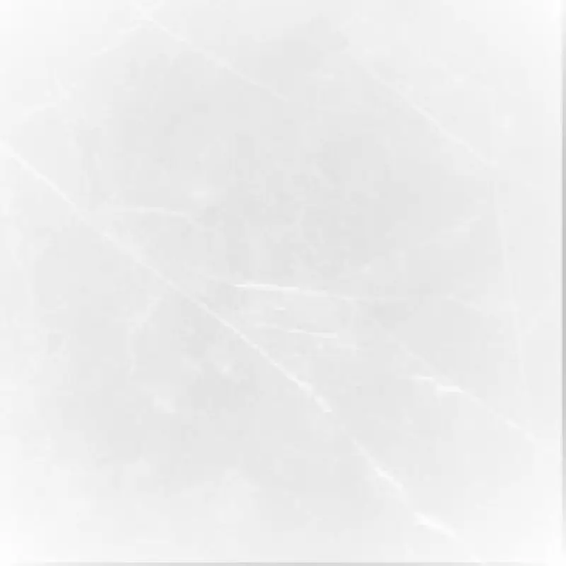Planchers 1867 Floor Tiles Storm White Polished 12" x 24"