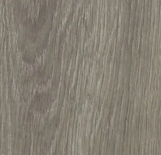 Forbo Vinyl Planks Allura Flex 0.55 Wood Grey Giant Oak Loose Lay 11" x 59-1/8"