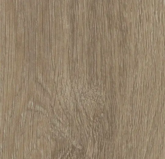 Forbo Vinyl Planks Allura Flex 0.55 Wood Light Giant Oak Loose Lay 11" x 59-1/8"
