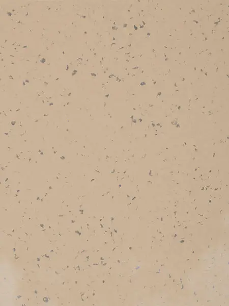 Gerflor Homogeneous Vinyl Roll Mipolam Planet #5418 Terra Nera 2 m x 20 m - 2 mm