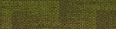 AE317 - Citron