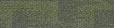 AE317 - Eucalyptus