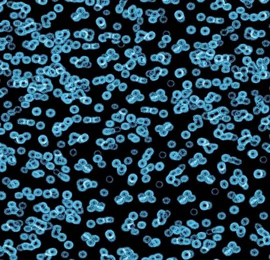 Forbo Flotex Roll Created by Sottsass #990105 Bacteria 79" - 4.3 mm (Sold in sqyd)