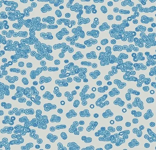 Forbo Flotex Roll Created by Sottsass #990202 Bacteria 79" - 4.3 mm (Sold in sqyd)