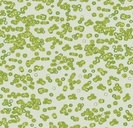 Forbo Flotex Roll Created by Sottsass #990203 Bacteria 79" - 4.3 mm (Sold in sqyd)