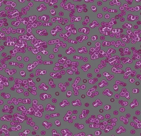 Forbo Flotex Roll Created by Sottsass #990301 Bacteria 79" - 4.3 mm (Sold in sqyd)