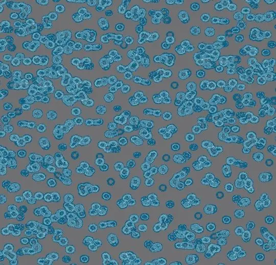 Forbo Flotex Roll Created by Sottsass #990303 Bacteria 79" - 4.3 mm (Sold in sqyd)