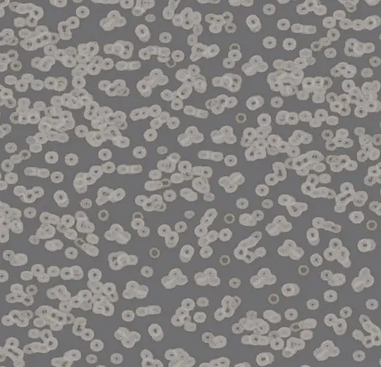 Forbo Flotex Roll Created by Sottsass #990304 Bacteria 79" - 4.3 mm (Sold in sqyd)