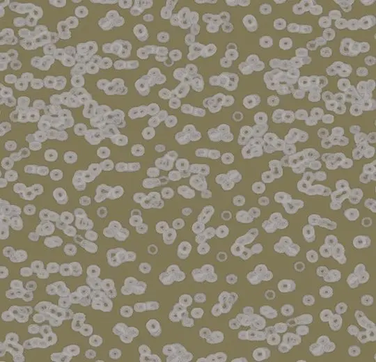Forbo Flotex Roll Created by Sottsass #990401 Bacteria 79" - 4.3 mm (Sold in sqyd)