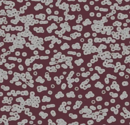 Forbo Flotex Roll Created by Sottsass #990402 Bacteria 79" - 4.3 mm (Sold in sqyd)