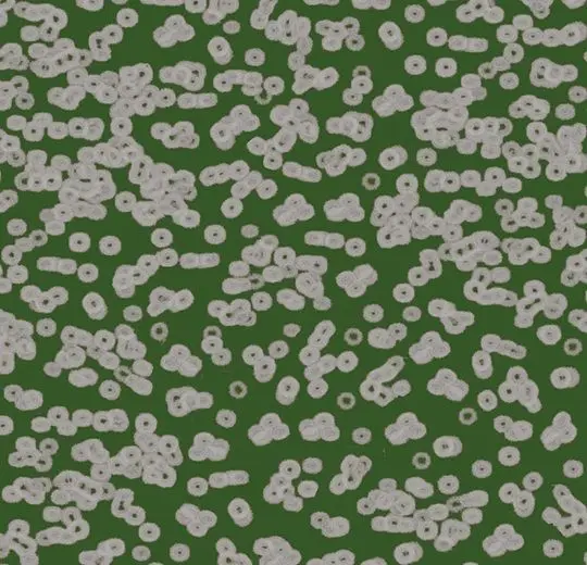 Forbo Flotex Roll Created by Sottsass #990403 Bacteria 79" - 4.3 mm (Sold in sqyd)