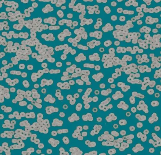 Forbo Flotex Roll Created by Sottsass #990404 Bacteria 79" - 4.3 mm (Sold in sqyd)
