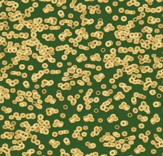 Forbo Flotex Roll Created by Sottsass #990502 Bacteria 79" - 4.3 mm (Sold in sqyd)