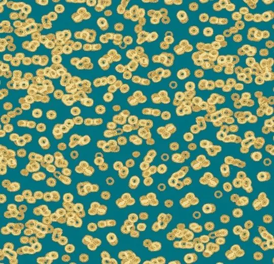 Forbo Flotex Roll Created by Sottsass #990503 Bacteria 79" - 4.3 mm (Sold in sqyd)