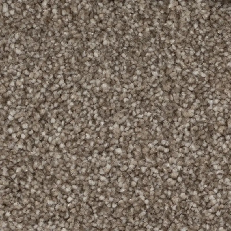 Beaulieu Broadloom Carpet Calm Haven Burnt Leaf 12' (Sold in Sqyd)