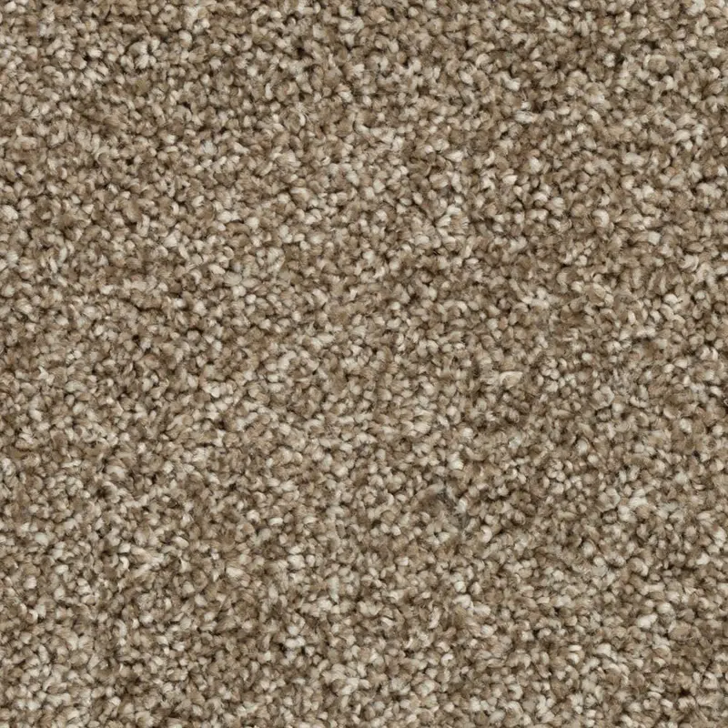 Beaulieu Broadloom Carpet Silky Splendor Ceylan Tea 12' (Sold in Sqyd)