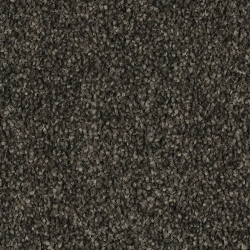Beaulieu Broadloom Carpet Silky Splendor Dark Mood 12' (Sold in Sqyd)