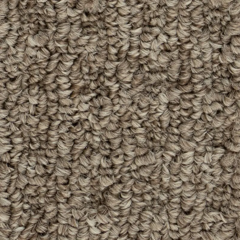 Beaulieu Broadloom Carpet Boloria II Bistre Brown 12' (Sold in Sqyd)