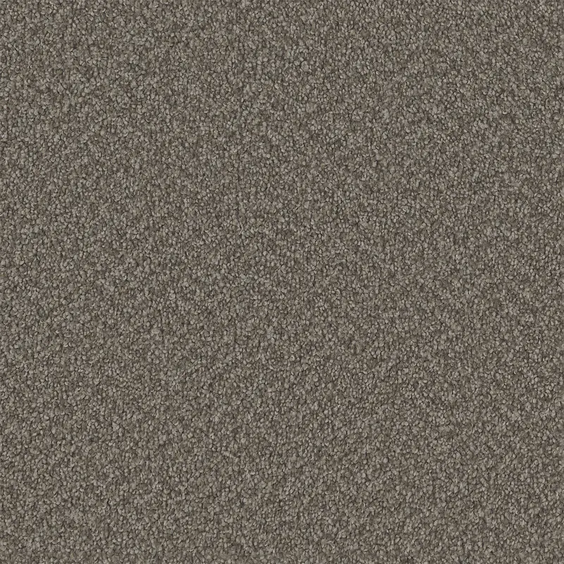 Area - Hazel