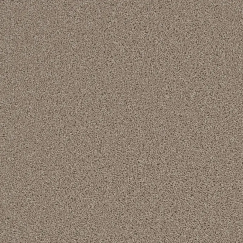 Area - Bisque