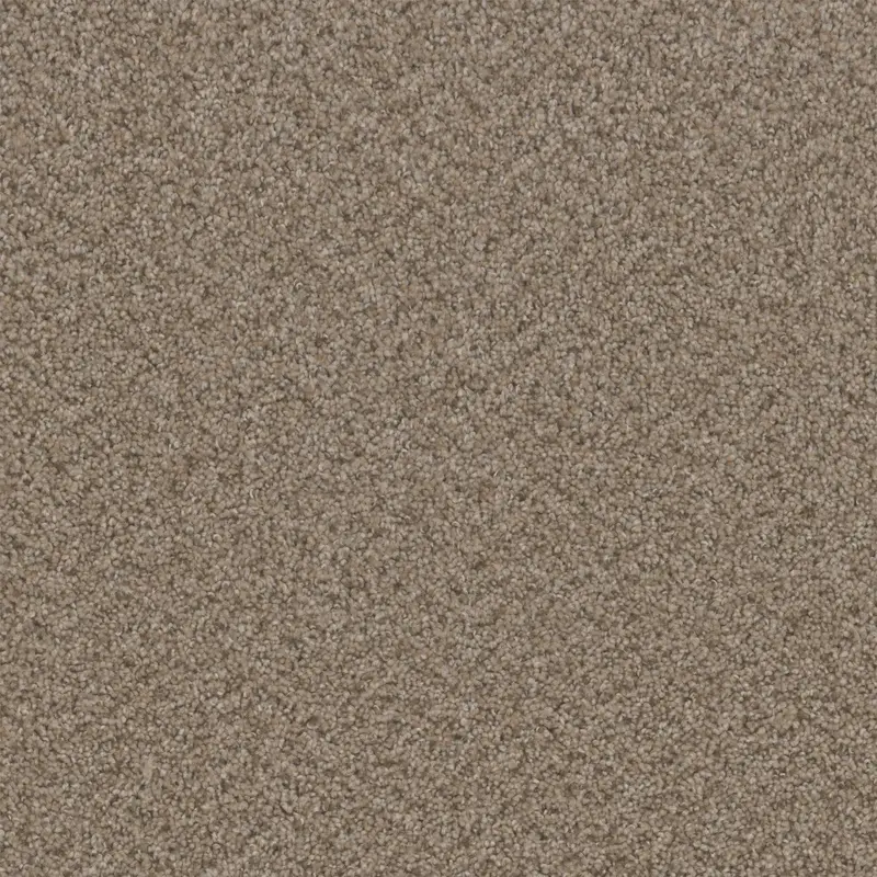 Area - Oat