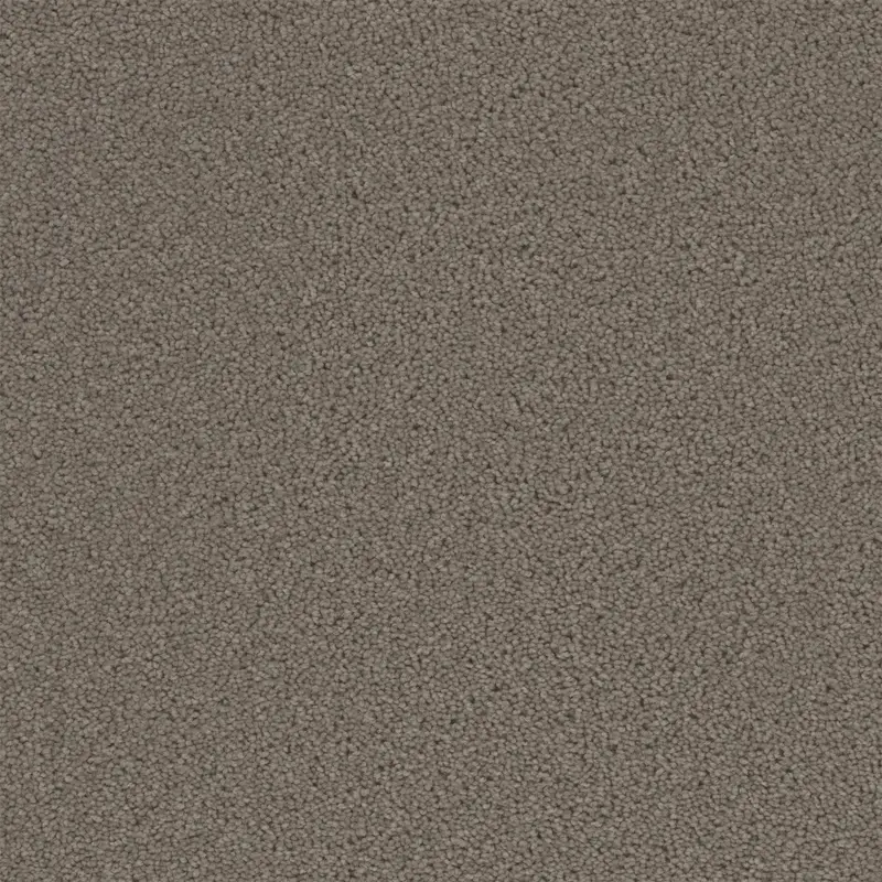 Area - Clay