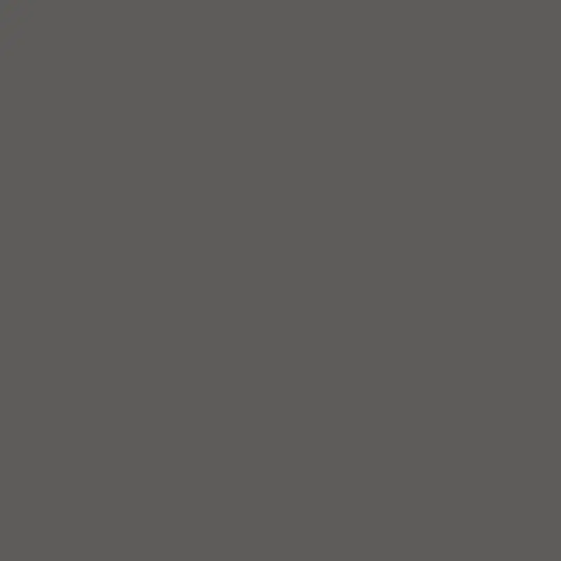 Centura Floor Tiles Carpenter Dark Matte 24" x 24"