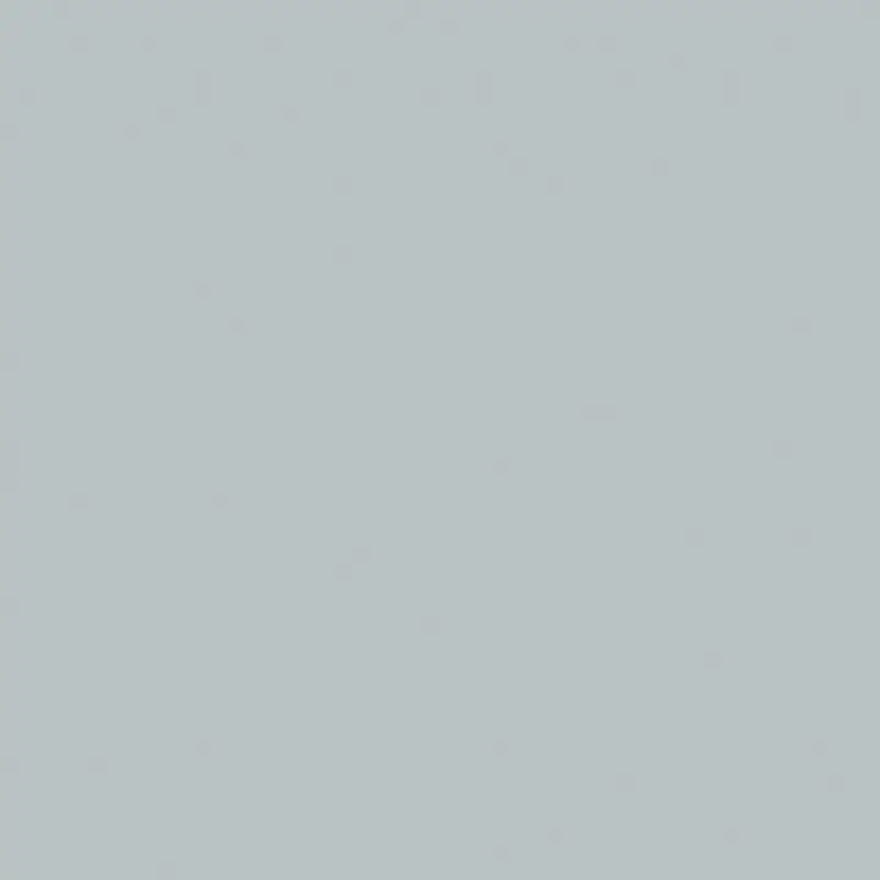 Centura Floor Tiles Carpenter Pearl Matte 24" x 24"
