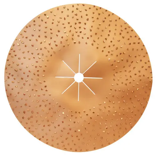 Pearl Abrasive - Hexpin Double-Sided Tungsten Carbide Sanding Disc 16"