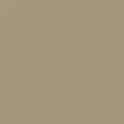 Custom Building Products - Silicone Sealant #145 Light Smoke 300 ml