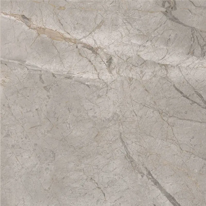 Italbec Floor Tiles Essenze Silver Grey Polished 24" x 24"