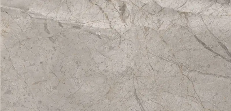 Italbec Floor Tiles Essenze Silver Grey Polished 24" x 48"